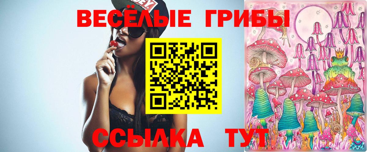 Псилоцибиновые грибы Cubensis Краснокамск